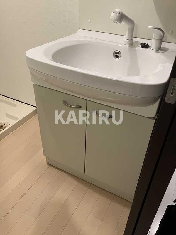 クィーンライフ東今里の洗面所