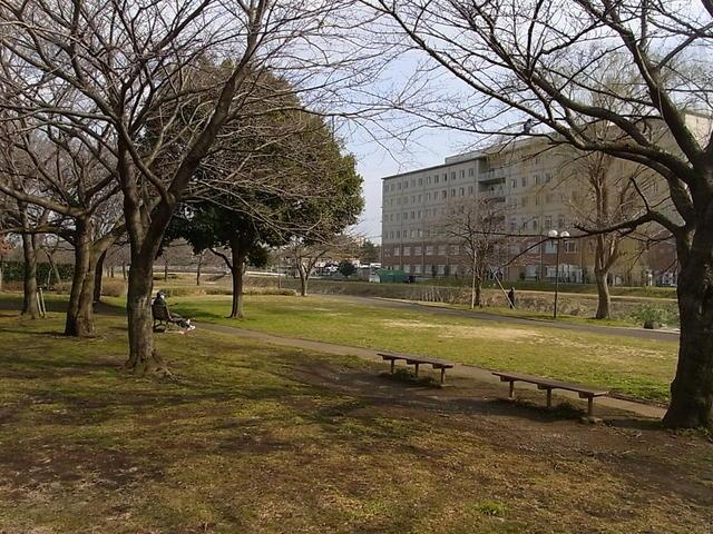 高田戸建の庭|１４号勝橋緑地まで599m 