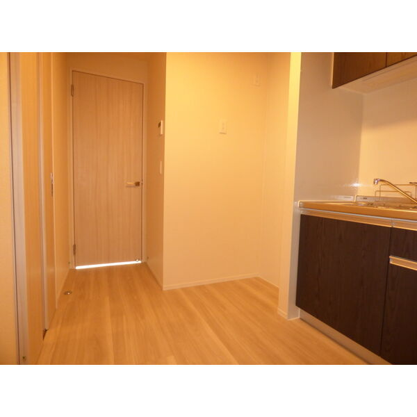 プルミエプランタンの収納