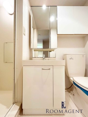 エスポワール本陣の洗面所