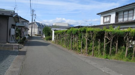 盛岡市みたけ5丁目5番5号