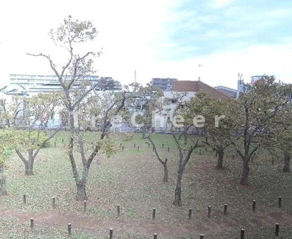 パールハイムの展望