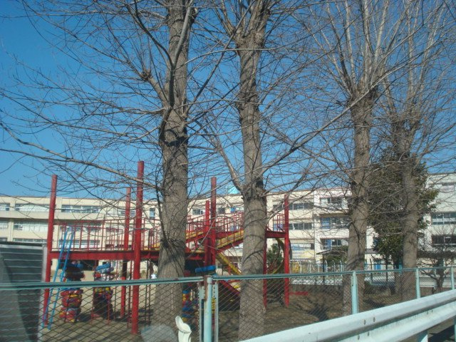 プラシードの周辺|八ヶ崎小学校まで240ｍ