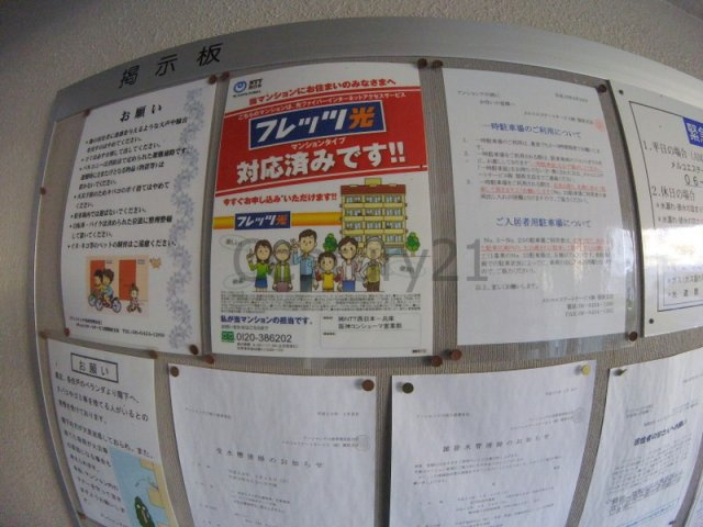 【その他】 | アンシャンテ川西