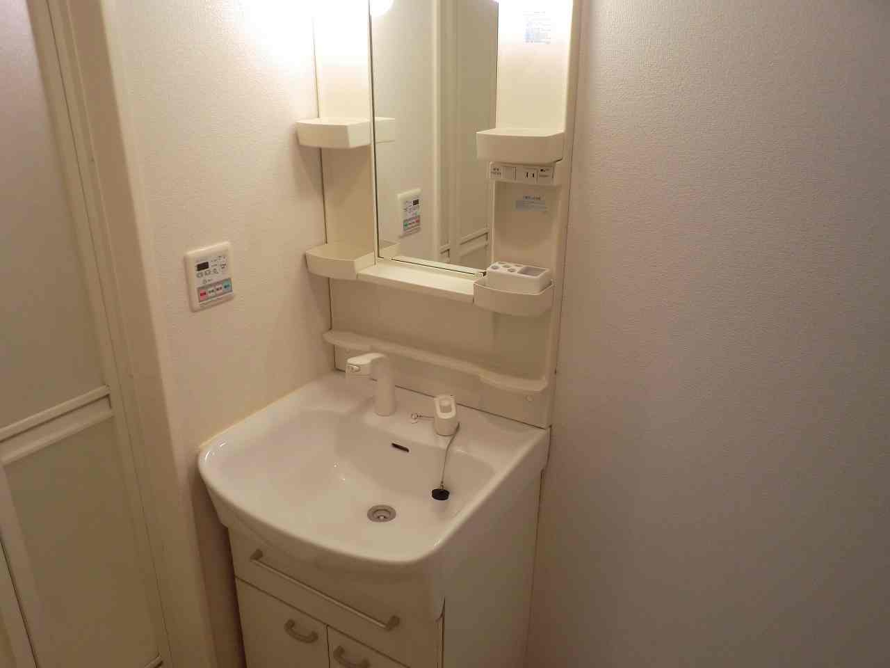 エレガンス富士の洗面所