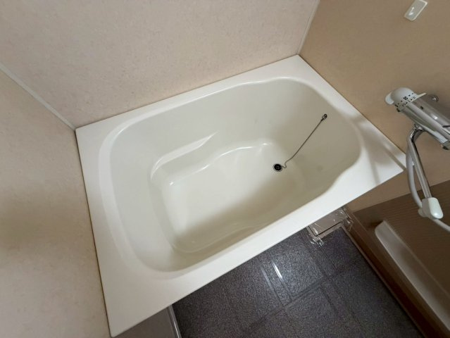 セントロイヤルクラブ谷町の浴室