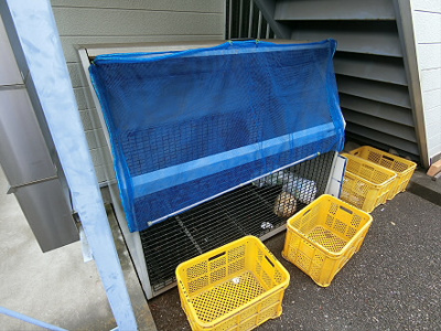 【その他】 | コーポタキ