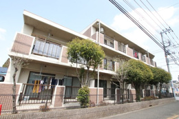 デンファレマンションの画像