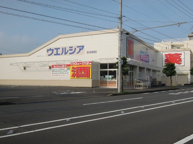 サン草薙の周辺|ウエルシア清水有東坂店まで1700m
