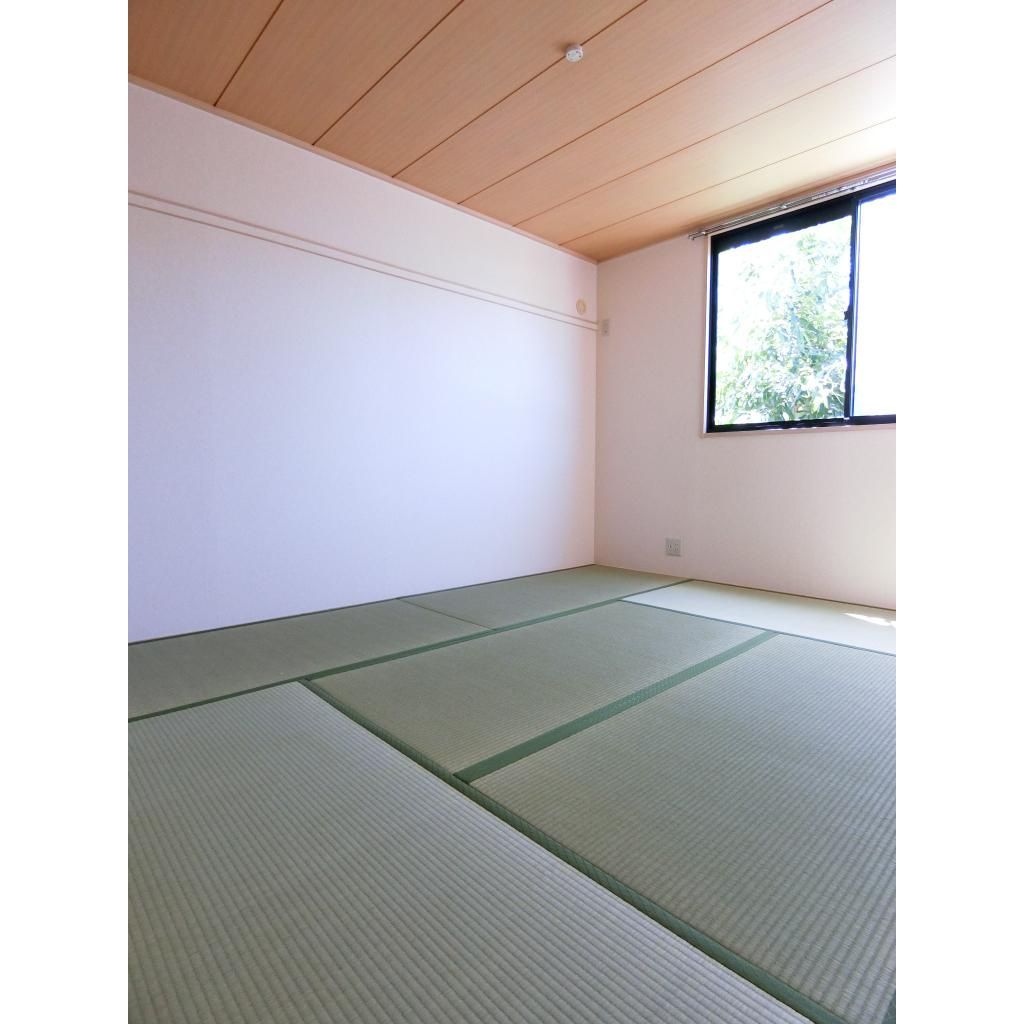 ウインディアコスモス　B