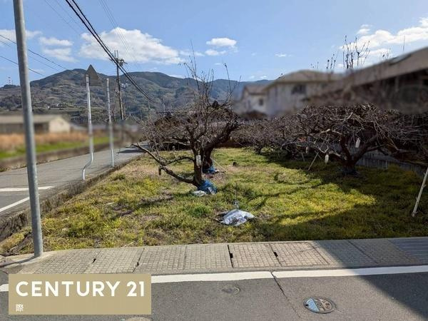 かつらぎ町妙寺　土地のその他