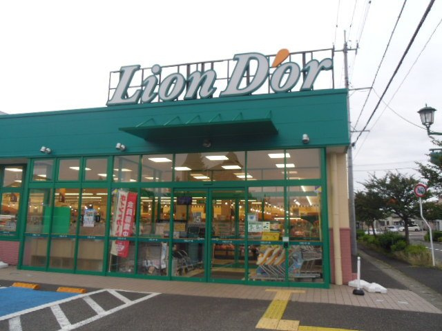グランソレイユ西中央の周辺|リオン・ドール南中央店まで750m