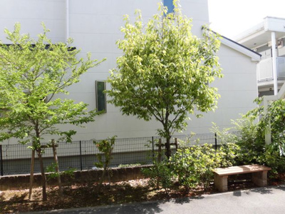 【展望】 | エトワール桜