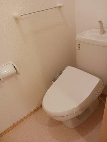 パピヨンのトイレ