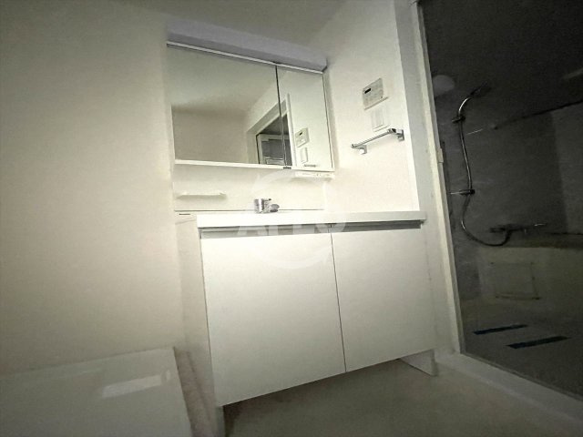 スプランディッド淀屋橋DUEの独立洗面台|スプランディッド淀屋橋DUE　独立洗面台