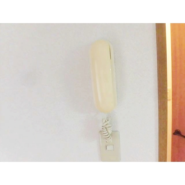 ラルジュ・アイのその他