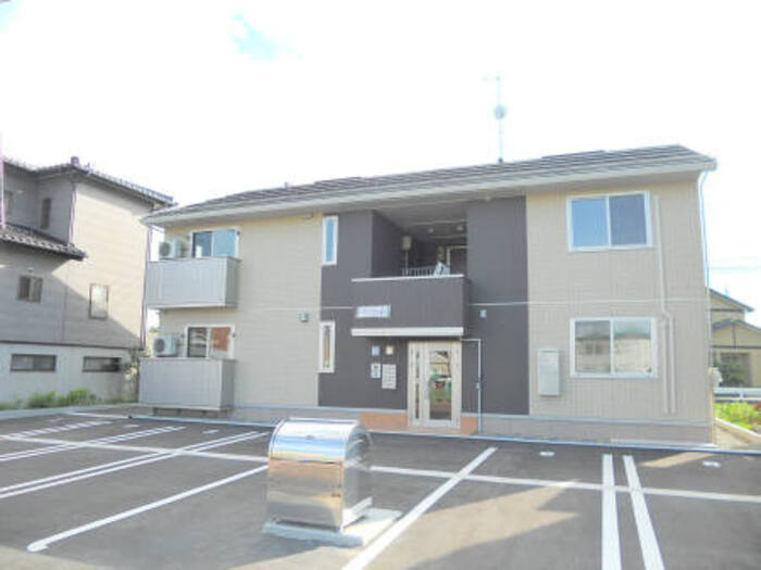 ブルームーン　アヤメ