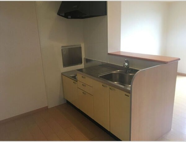 Three Woods Y&F　Bのキッチン