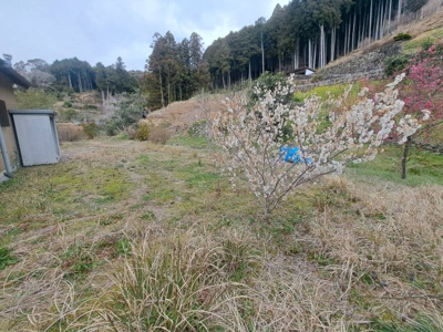  | 高知県高岡郡佐川町丙　中古住宅