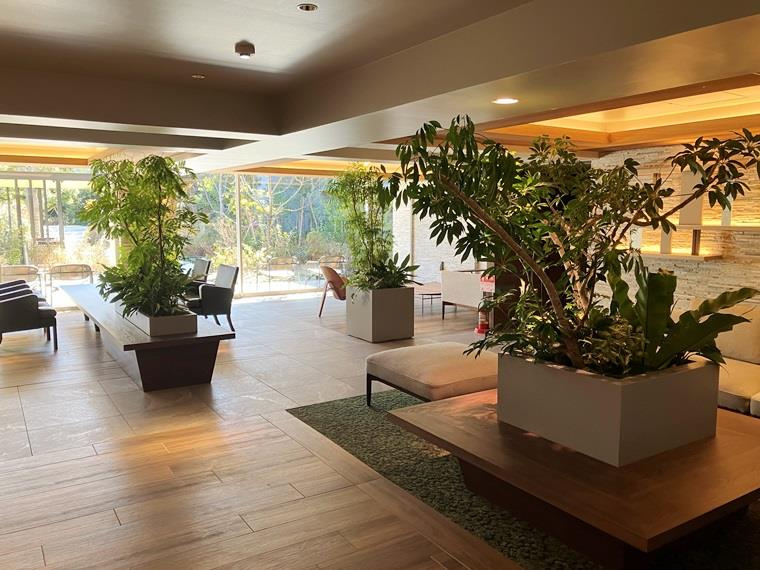 グランリビオ浜田山のロビー