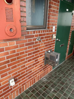 【その他共用部分】 | 第三通南ビル