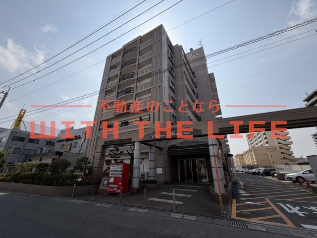 アンピール比恵南