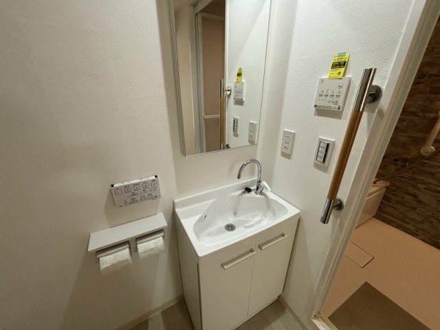 パレロワイヤル六番町の洗面所|忙しい朝には欠かせない洗面所です