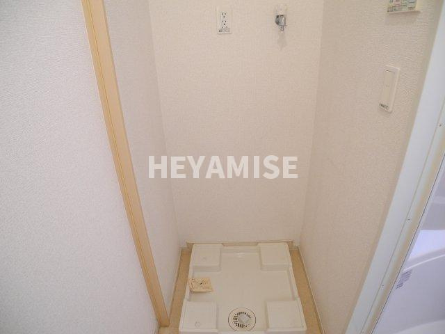 ラダーリーフのその他