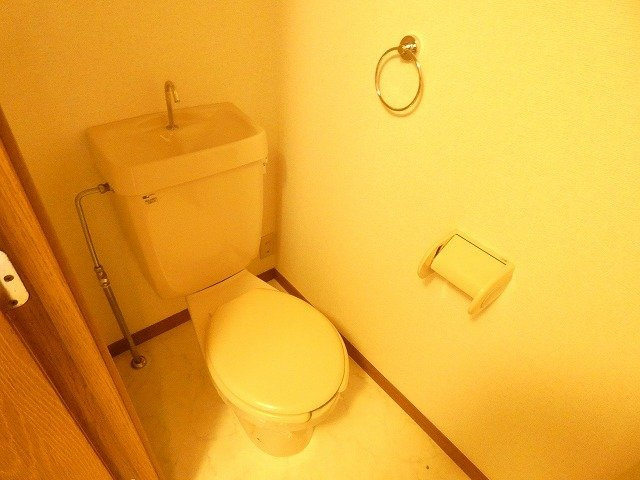 サンヴェールⅡのトイレ|落ち着いたトイレです