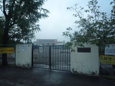 川口市立柳崎小学校まで800ｍ