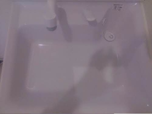 シャーメゾン斑鳩の内装