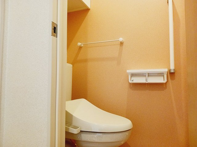 サンテェラスⅡ　Ａのトイレ|落ち着いた色調のトイレです