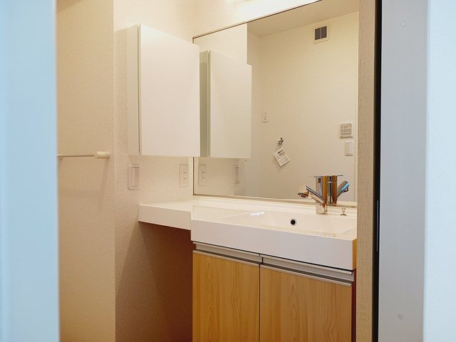 サンテェラスⅡ　Ａの洗面所|広い洗面スペース