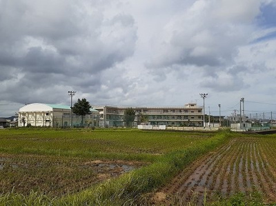 【周辺】 | リオ・グランデＢ | 新開小学校まで800m