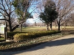 マーヴェラス葛城の周辺|青葉の森公園まで330m