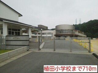 アネックスの周辺|植田小学校まで710m