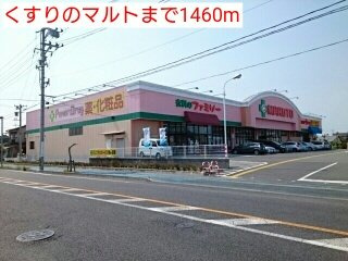 ラ・リヴィエールⅠの周辺|くすりのマルトまで1460m