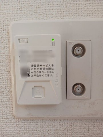 ビーナス　ベルトの設備
