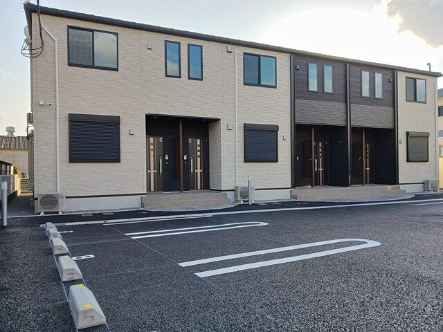 ビーナス　ベルト