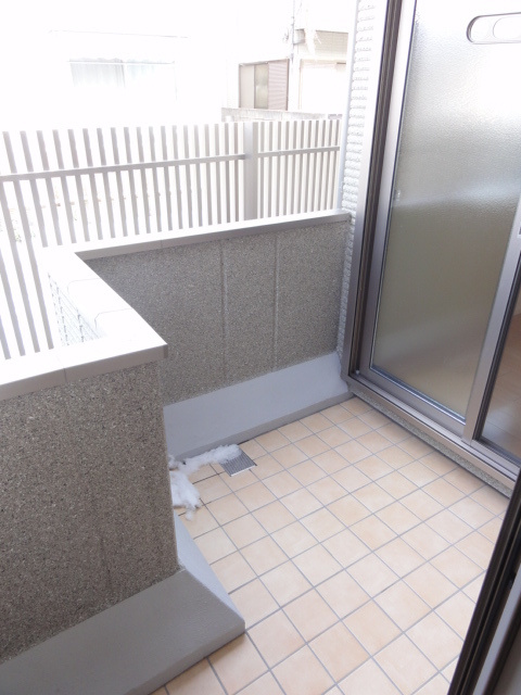 メゾン アネシスのバルコニー|テラス