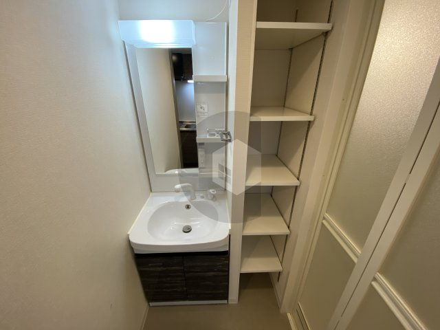 東大阪市足代新町の賃貸マンションの洗面所