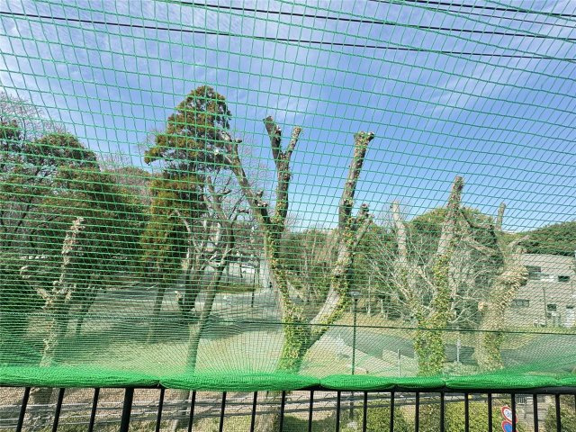 セブン熊大前の展望