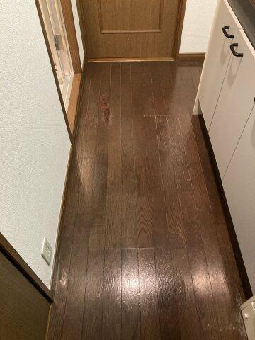 菱和パレス上馬の内装