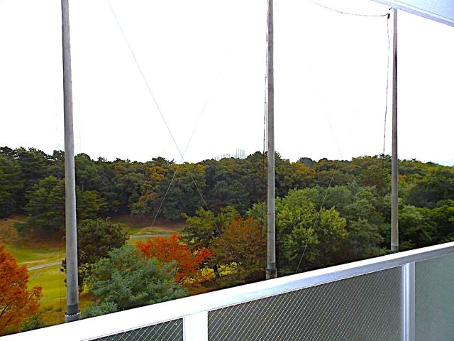 ディオフェルテイ学園都市の展望