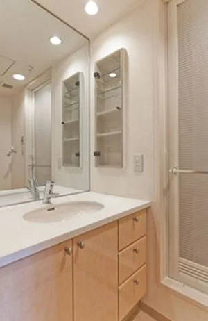 板橋パーク・ホームズの洗面所