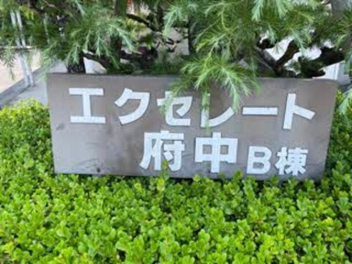 エクセレート府中B棟の庭|お庭です