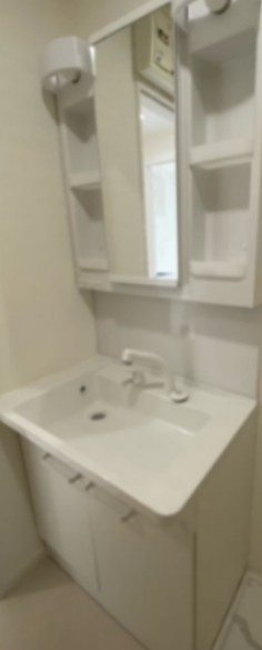 ラ・メゾン・イースト獨協大学前の洗面所