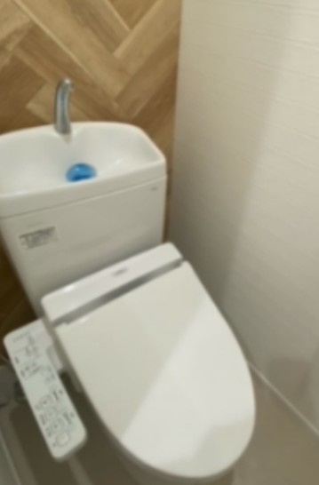 ラ・メゾン・イースト獨協大学前のトイレ