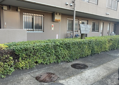 【庭】 | グリーンコーポ淵野辺 | 物件によっては、入居者が個人的に使用できる専用庭がついているものもあります。また、住宅の中にある土間の部分を庭と呼ぶこともあります。庭の用途は住む人によって変わり、それによってデザインもさまざまです。