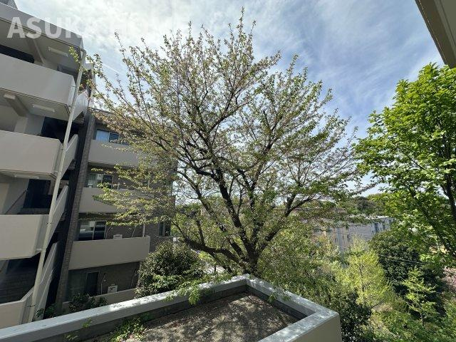 サザンヒルズ竹山七番館のその他|マンションの中心には大きな公園があり、子育てに適した環境として評価されています